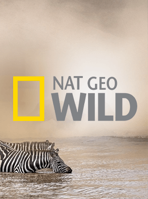 Nat Geo Wild