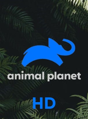 Animal Planet HD