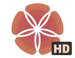 Дорама HD