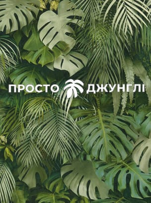 Просто Джунглі