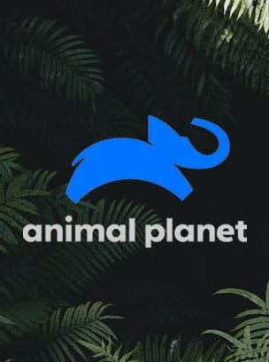 Animal Planet