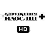Одруження наосліп+ HD