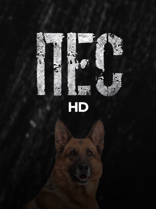 Пес HD